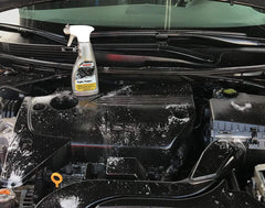 SONAX 543200-755 Engine Degreaser and Cleaner-16.9 fl. oz