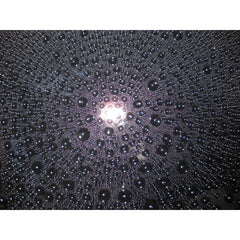 CarPro Reload Inorganic Spray Sealant